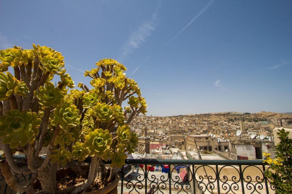 Riad La Source Bleue Fès Rum bild